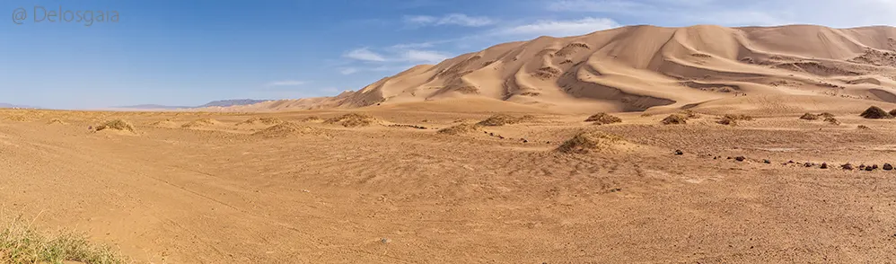 Duinen van de Khongoryn Els