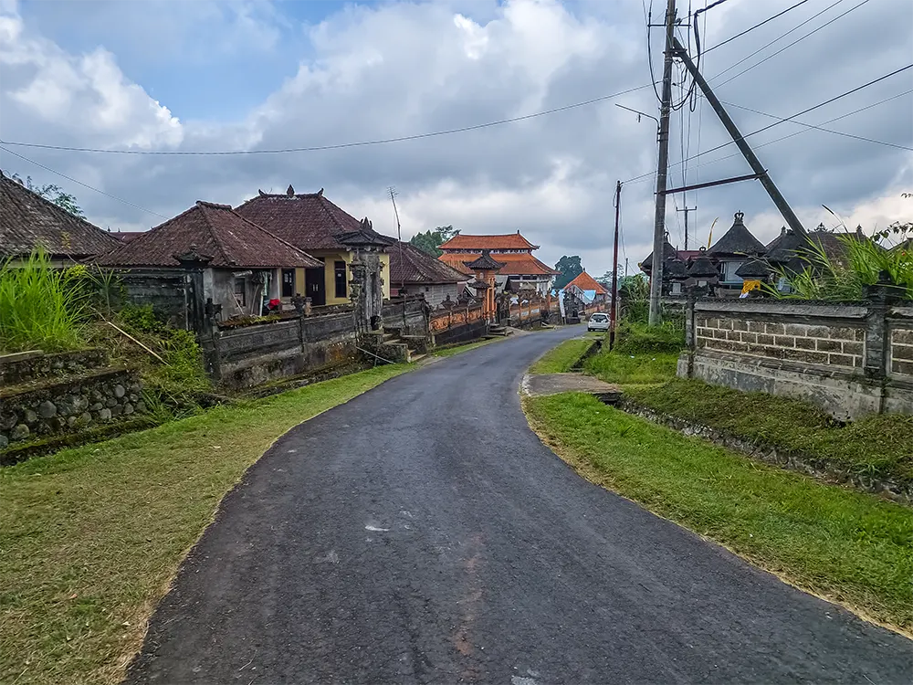 Asfaltweg met huizen