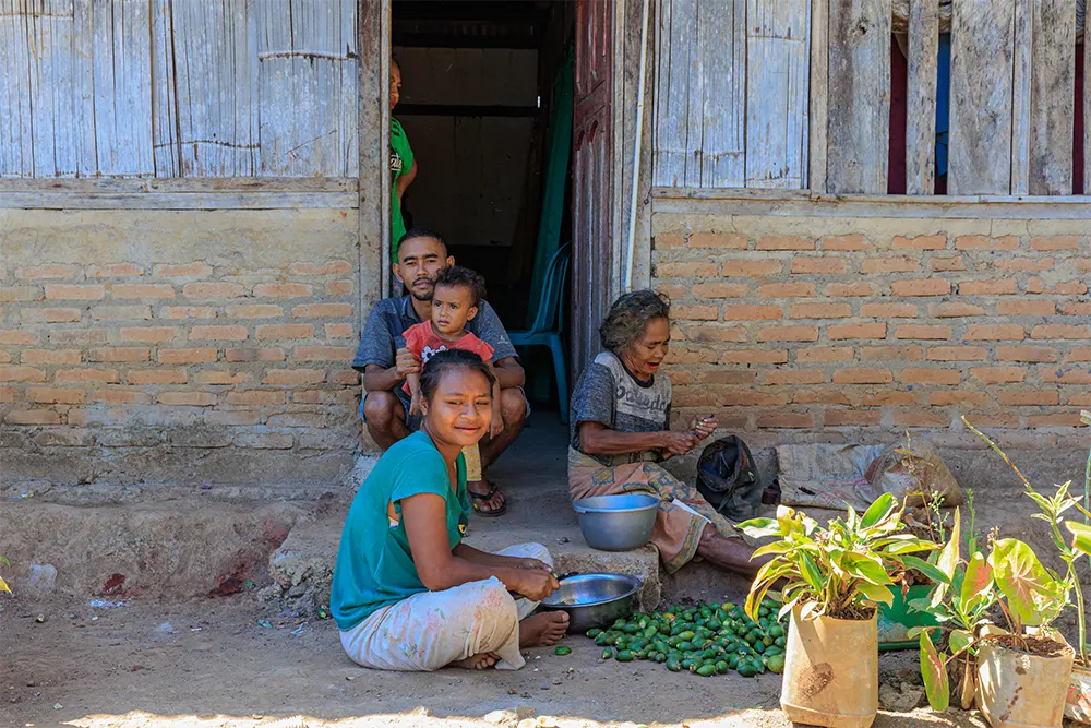 Familie aan het werk met Areca vruchten